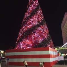 65ft Tree at High Street