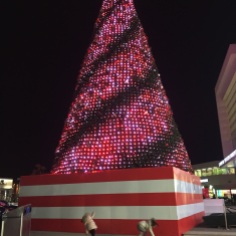 65ft Tree at High Street